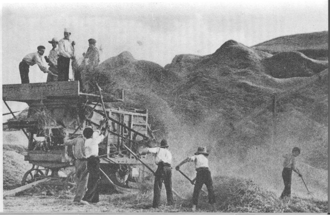 “Workers on a collectivized farm bring in the grain harvest.”